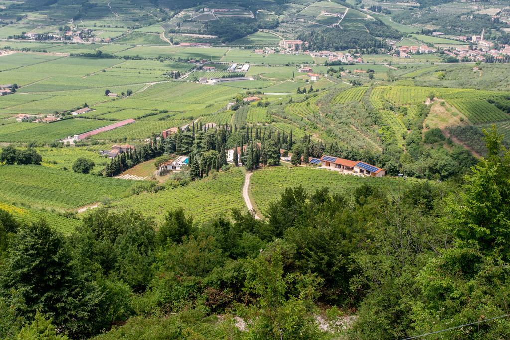 Villa Massimago Wine Relais Mezzane di Sotto Exterior foto